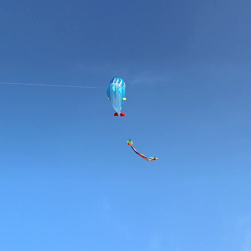 Мультяшный воздушный змей, 2021 года