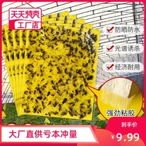 Autocollants Tôles dinsectes Mouche à mouche Mucus Bande adhésive Mucus Cardboard Repellent Mouche Mosquito Autocollant Mosquito Plaque jaune verger Canopé Waterproof recto-verso