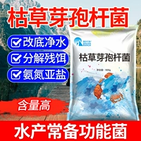 Bacillus subtilis 500г (для водных продуктов)