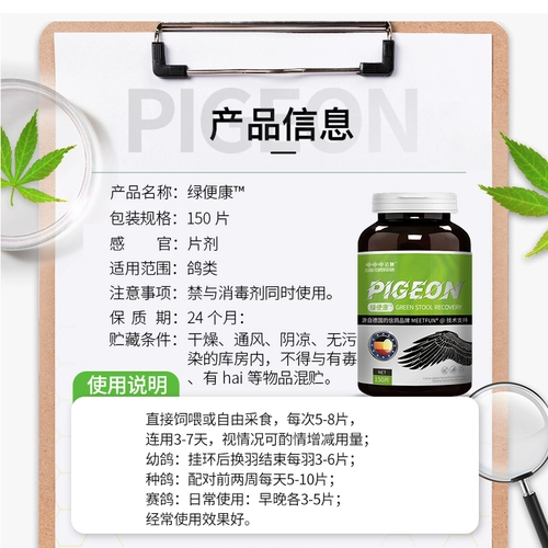 Голубь -голубь -голубь с зеленым шиитом