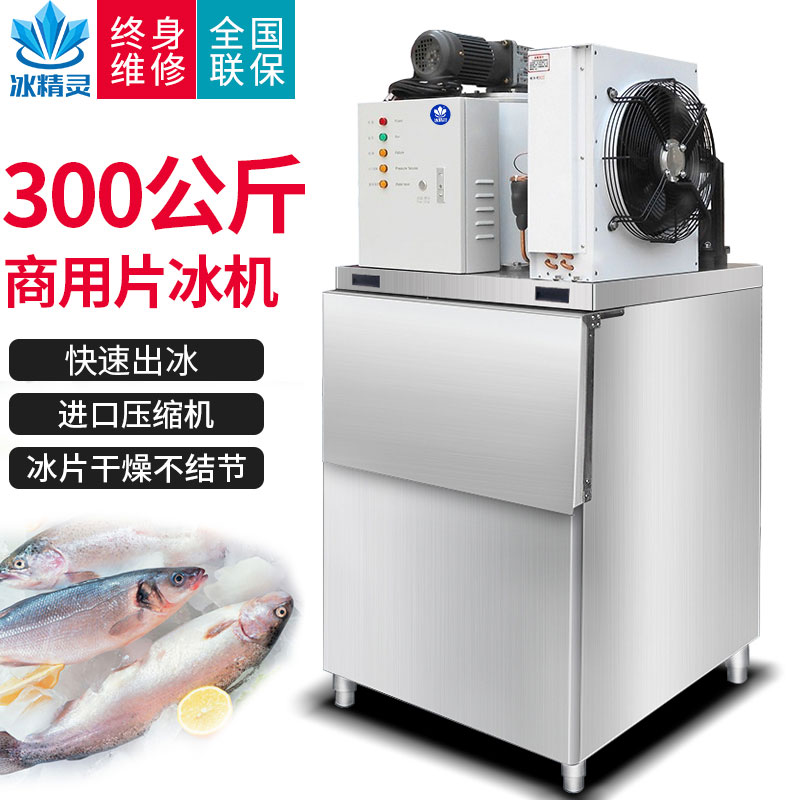 Ice elf ice machine commercial 200kg flake large scale ice machine 300KG 500kg flake ice machine