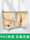 Gynecology teaching model adult fertility soft silicone contraceptive examination uterine pelvic floor muscle closure postpartum health teaching aid
