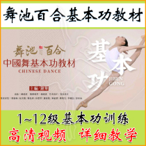 2021 Dance Floor Lily Chinese Dance Youth Dance Youth Teaching Teaching Course Video of Advanced High School Teaching Teaching Teaching Teaching Course