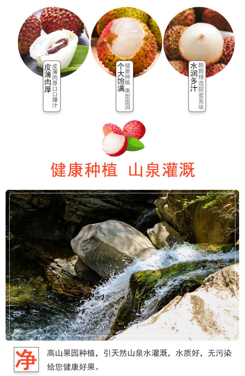 简果社 海南妃子笑荔枝 净重5斤 图4