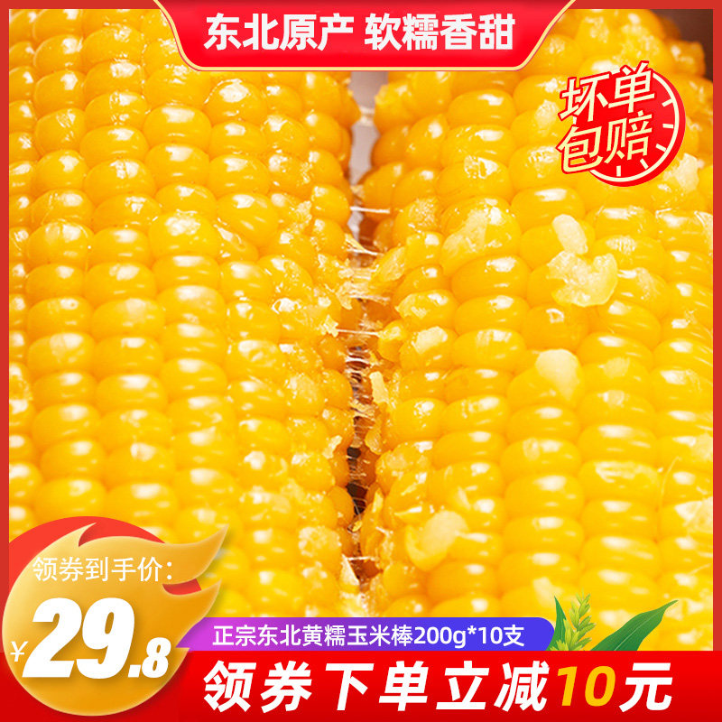 Corn fresh northeast glutinous sweet sticky sticky yellow corn stick vacuum-packed whole grain fat reduction meal replacement 10 bracts of rice