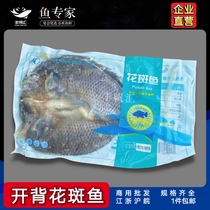 Gike ouvert à laide de poissons de banquet de poissons tachetés 500-1000g de toutes sortes de spécifications complètes des poissons congelés semi-finis
