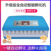 Boshi incubation machine Automatic intelligent incubator Small household chicken duck goose and bird egg hatcher