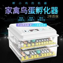 Incubator Small household hatching machine Mini automatic intelligent hatching box Chicken duck goose pigeon bird egg hatcher