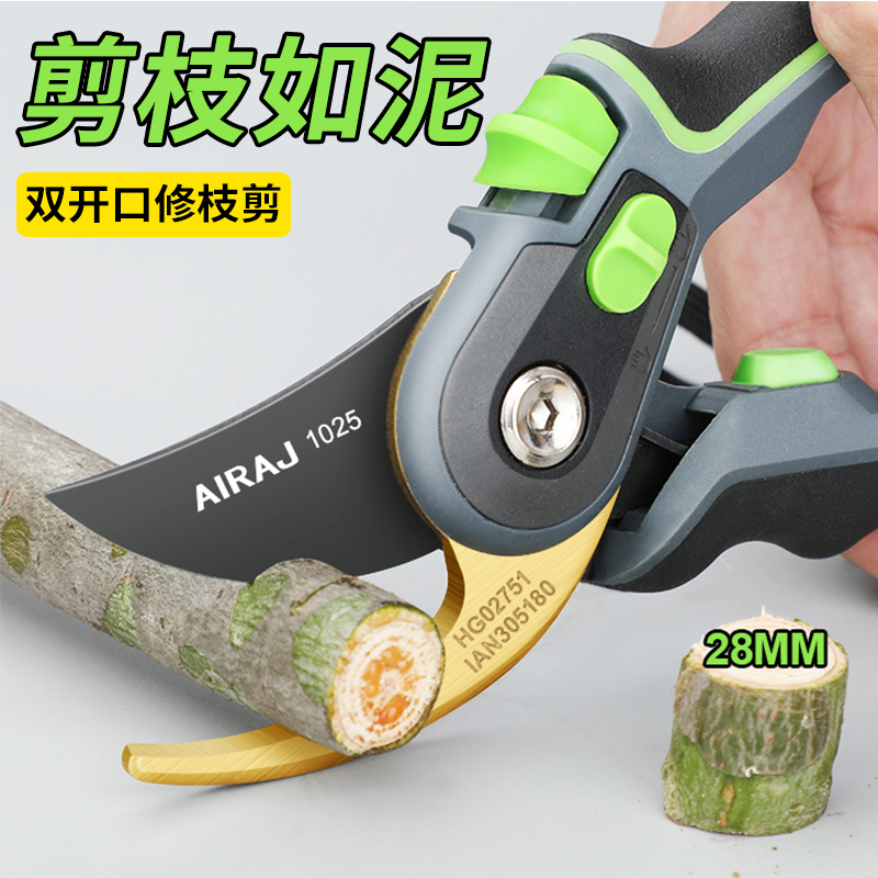 German gardening cut and cut branches productive branches trimming fruit tree toolflowery garden scissors scissors