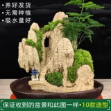 Поднимите доставку воды -поглощающего каменную фальшивую гору бонсай, озеленение натуральное растение.