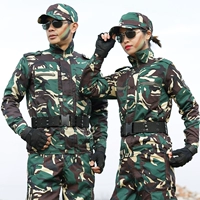 Обновление Hunter Camouflage (полиэфирная ткань)