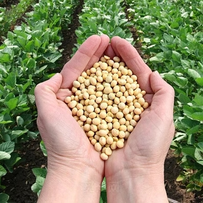 顺德牧业