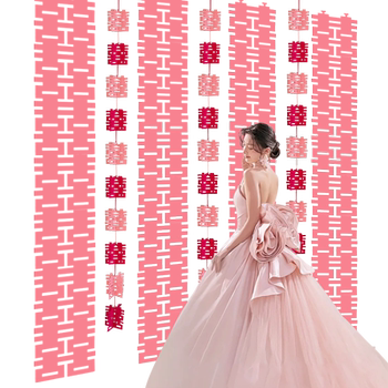 Longtiaoxi internet celebrity selfie props xiaohongshu pink