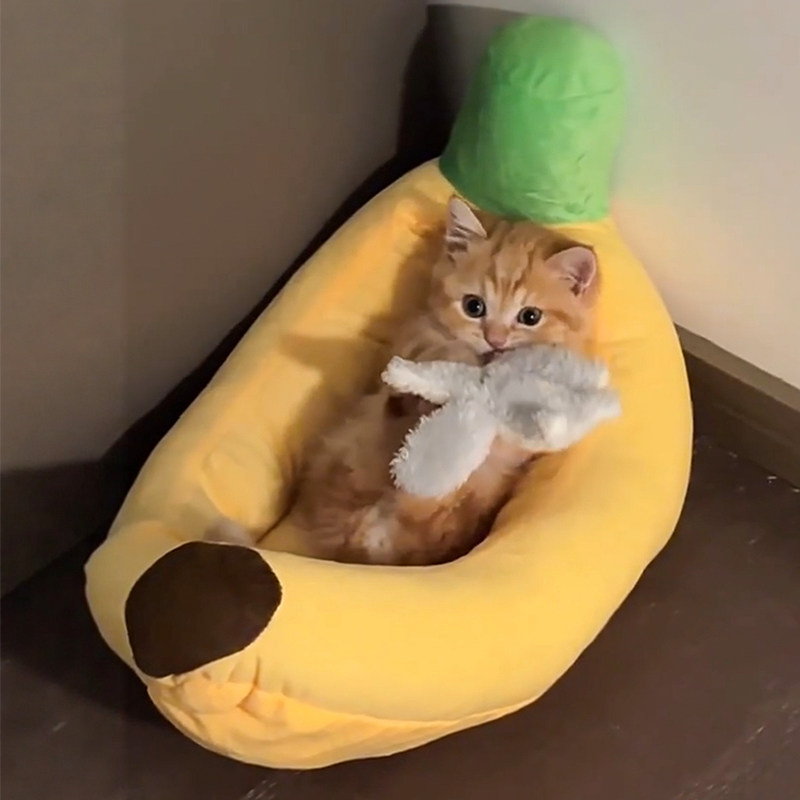 img3