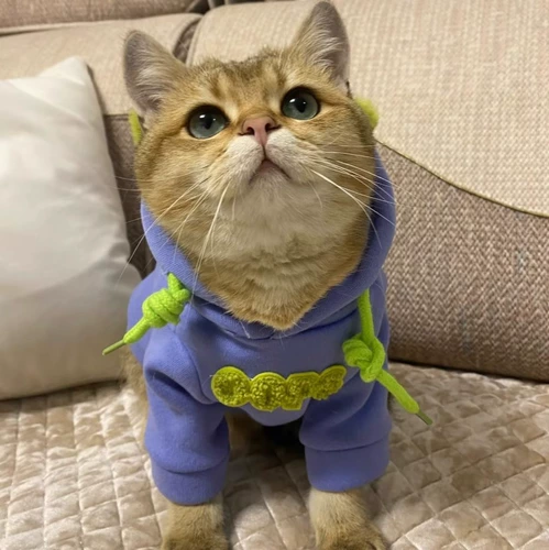 Tide, утепленная зимняя толстовка