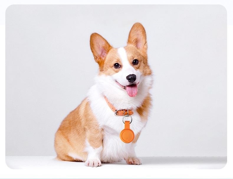 Pet Loss Anti-Loss Tracking Dog Catty PositionsOutdoor Anti-Loss Discovery Devices Bluetooth Positioning