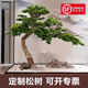 Welcome pine artificial tree artificial tree pine tree large podocarpus beauty pine indoor decoration green plant Chinese style landscaping ornaments