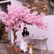 Artificial Cherry Blossom Tree, Peach Blossom Tree, Large Fake Tree, Japanese-Style Indoor and Outdoor Decoration, Landscaping, Hotel Window Display Piece