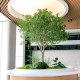 Simulated bell tree landscape, mazui wood, large green plant landscaping combination, indoor and outdoor Nordic style ornaments, window decoration