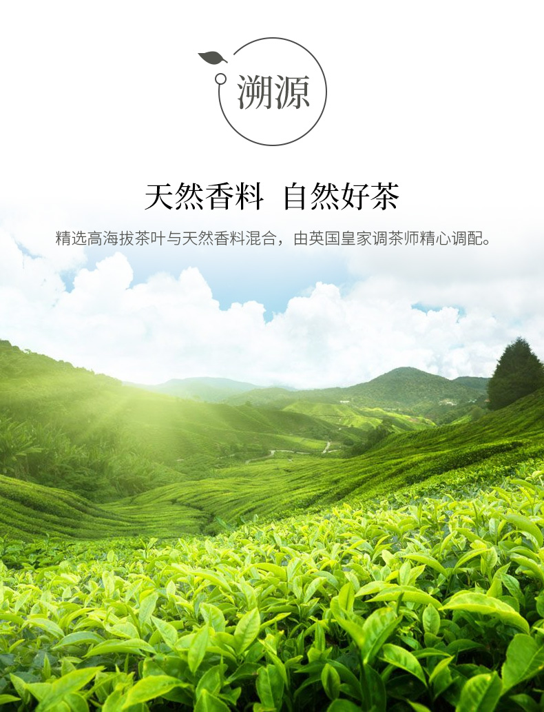 RICHARD瑞查得锡兰红茶斯里兰卡奶茶
