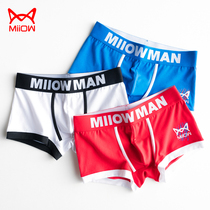 Cat underpants boy trend youth personalized cotton four-corner pants loose breathable student tide Han flat pants