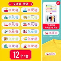 Транспортная модель-12-регулярная (швейная, постоянная может быть вставлена) Отправить игольчату