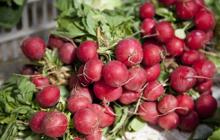 Fresh vegetables mini robe with box 500g Jiangsu, Zhejiang, Shanghai and Anhui 5 pieces