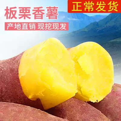 (Chang hair) Chestnut Sweet Potato Fresh 10kg farmhouse self-growing sweet potato sweet potato