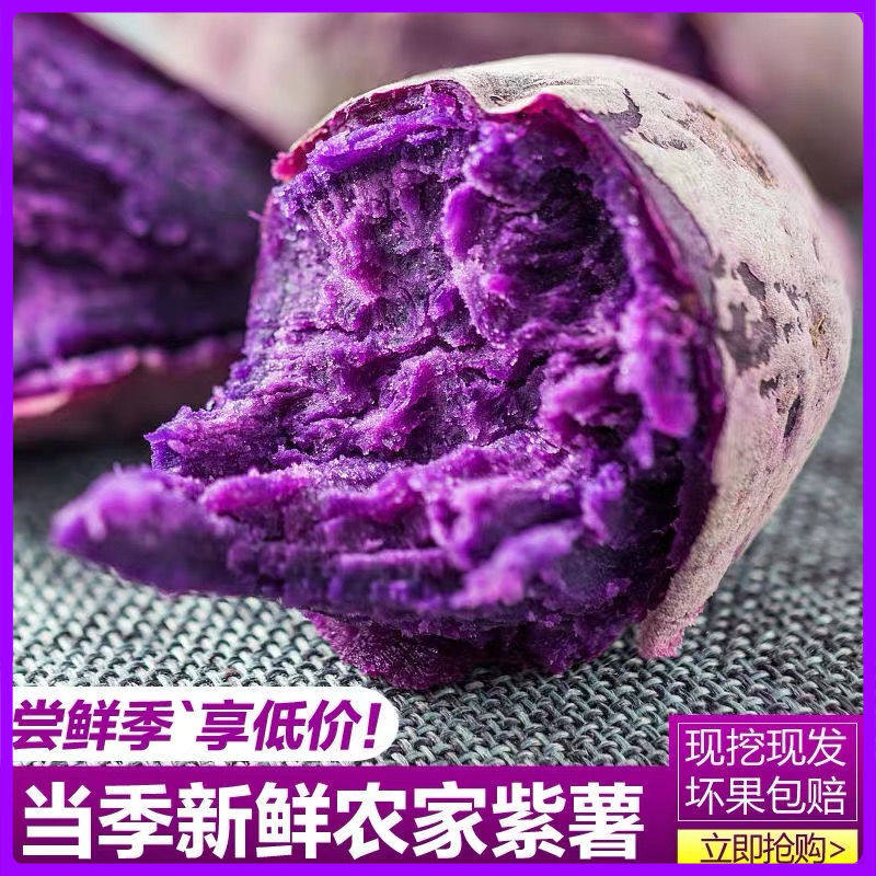 Fresh purple potato, chestnut, sweet potato, sweet potato, sweet potato, sweet potato, small sweet potato, sandy small sweet potato, 5 catties express