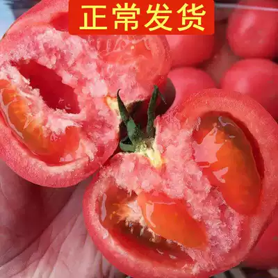 (normal hair)Tomatoes, fresh farm vegetables, tomatoes, tomato flesh can be eaten raw for 5 kg of old varieties