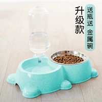 Обновите зеленый (отправьте бутылку и отправьте миску)