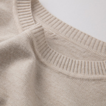 Small Daisy sweater 2021 new female loose pullover foreign-style knitted base shirt Women autumn and winter coat tide