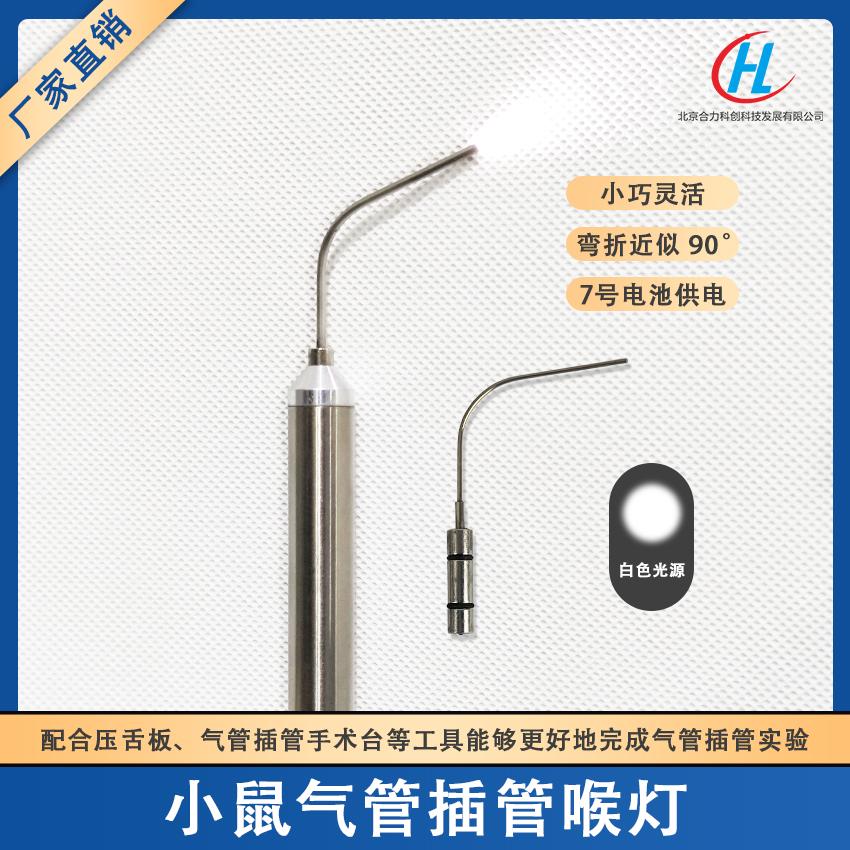 小鼠喉灯小动物麻醉咽喉灯气管插管大小鼠用气管插管光纤管喉灯