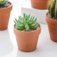 Clearance terracotta succulent small flower pot seedling extra large rough clay ceramic relief breathable mud tile pot special price