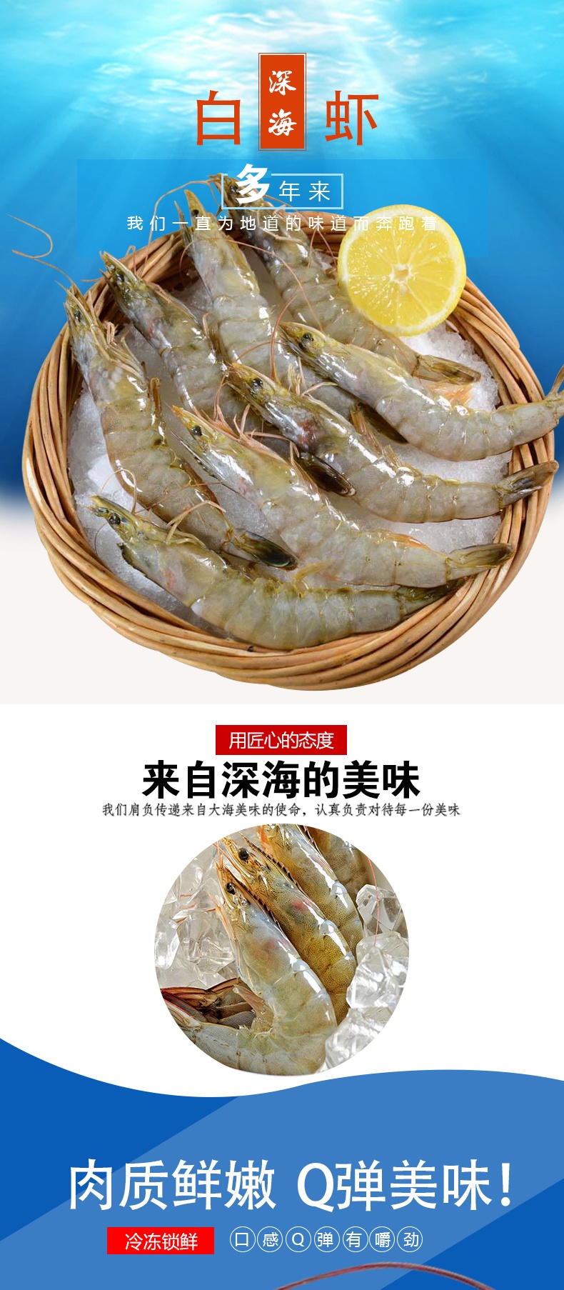 青岛 海捕海虾 净重2.8斤 10-12cm 图1