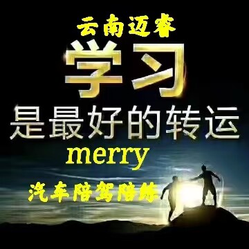 云南迈睿昆明汽车陪驾陪练