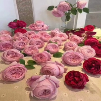 Свобода [1,5 метра]