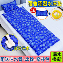 Water mattress water-filled ice mattress anti-decubitus sleeping pad cooling refrigeration summer double household single bed water-cooled mattress