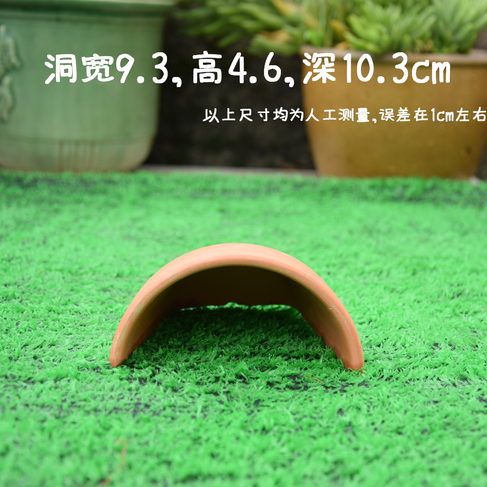 The tortoise tiles yellow rim tortoise climb a cave tao humidifying escape The tortoise fish house nest from roof terrace landscape crawler