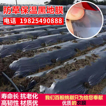 Agricultural black mulch film White fruit tree reflective film insulation weeding silver black film two-color planting plastic film