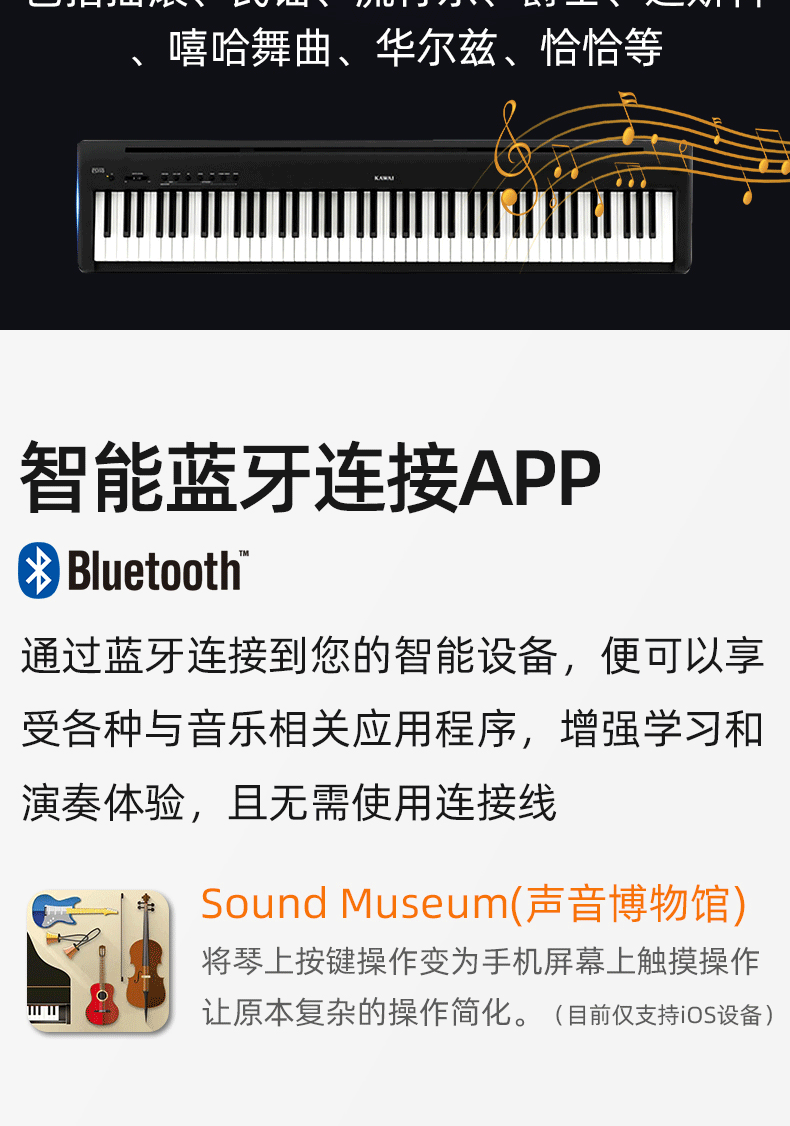 Cavai Piano ES-1110 Подробная информация о странице- (1) _10.gif