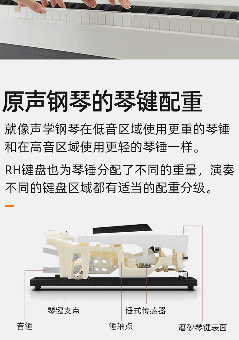 Cavai Piano ES-1110 Подробная информация о странице- (1) _06.gif