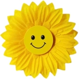 Creative Dance Reps to Sunflower Pellight Flower Evinged Meetty Meeting Red Song Chorus Group Performance Ring Ring