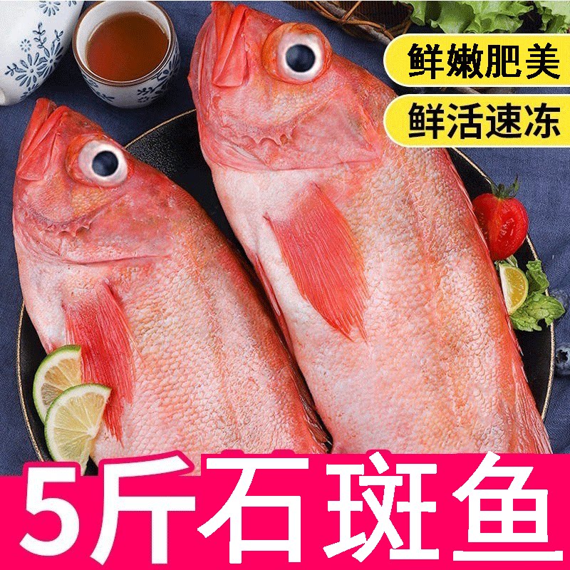 (5 catty of red grouper) Big live frozen sea fishing for deep-sea fish frozen seafood aqua gentium