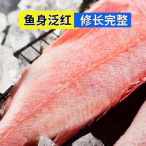5kg of red grouper frozen whole sea catch big gentian fish rich fish deep sea fish fresh seafood aquatic fish