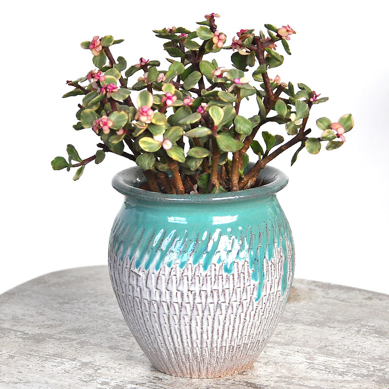Special ceramic tall, old coarse pottery flowerpot more meat POTS green plant flower arrangement of piles and soil dry vase flesh POTS of the plants