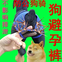 ПЭТ -противозачаточная сука физиологические штаны, собачья одежда, домашнее животное, детская собака Случайные беременные брюки сука против