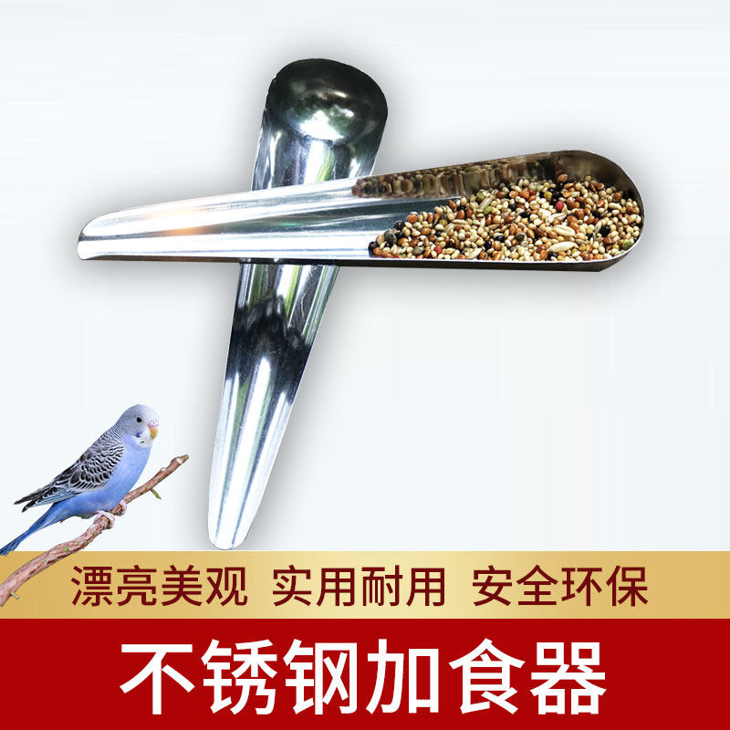 Bird with food and food spoon feeding spoon feeding machine Stainless Steel Bird Food Spoon 8 Gothic spoon Scoop Birds utensils Supplies
