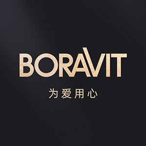boravit旗舰店的LOGO