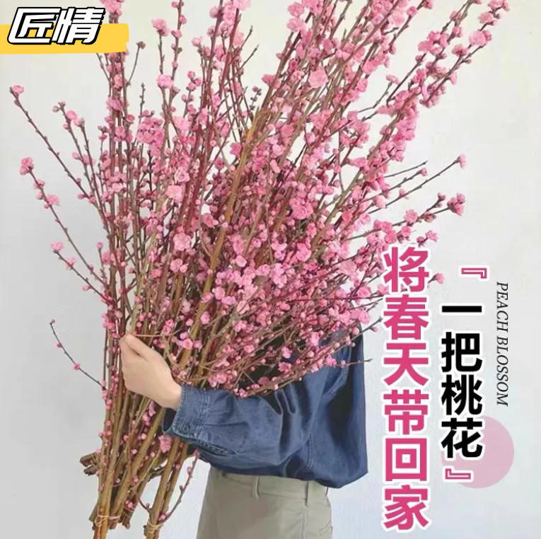 (Flower shipment) encountered with water blooming fresh peach blossom branches true flowers dry branches red Merramex water blooming resistant to cold flowers-Taobao